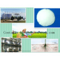 Produits chimiques agricoles Bactericide Bactericide Fongicide agrochimique 119446-68-3 Difenoconazole